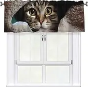 LHBWCVN Cat Under Blanket Valances for Windows, Rod Pocket Window Treatment Drapes Farmhouse Kitchen Curtains Short Blackout Window Curtains for Living Room Bedroom Decor 54x18 Inch
