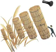 Bamboo Fencing 1 Pack Natural Reed Fence, 4FT X 16.4FT Bamboo Fencing Privacy Reed Screening for Outdoor, Gallery, Restaurant, Hotel, Patio(H1.53xL9m/H5xL30ft)
