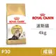 【法國皇家 Royal Canin】P30 波斯貓 (長毛貓、金吉拉) 4公斤(貓飼料)