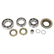 All Balls Differential Bearing & Seal Kit for 2012-2015 Can-Am Renegade 800R