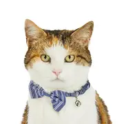 All Day Pinstripe Breakaway Cat Collar W/Bow Blue 20-30cm