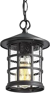 Emliviar Outdoor Hanging Light for Porch, Exterior Pendant Light Waterproof Ceiling Mount with Seeded Glass, Black Finish, XE222H BK
