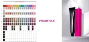 4X SHISEIDO Primience Color 80G controls hair color and brings out the hair