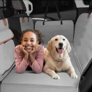 Dog Car Seat Cover for Back Seat, Waterproof Pet Seat Protector, Mesh Window,...
