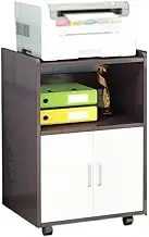 File Cabinet Removable Office Shelf Printer Shelf Filing Cabinet Multi-Tier Storage Shelf with Door Desk Side Cabinet Office Drawer(Black)