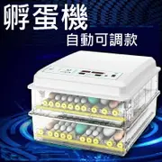 【孵蛋機-自動可調款】保固半年 雞 鴨 鵝 鸚鵡 110V 自動加濕 全自動 孵蛋器 自動翻蛋 孵蛋 孵化 孵化器