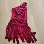 Weissman costume Dancin' fool velvet NWOT child large
