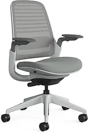 Steelcase Series 1 Series 1 Office Chair Gaming Chair Back: Nickel 3D Microknit Seat: Nickel 5S25 Frame: Seagull, Adjustable Lumbar, 3D Arms, Seat-Depth Adjustment.