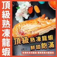 在飛比找蝦皮購物優惠-【鮮煮義美食街】熟凍頂級龍蝦／520~600g／野生龍蝦／小