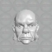 Heath Ledger Joker v2 custom head for 1:6 1:10 1:12 1:18 action figures