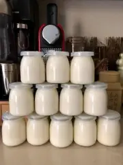 Glass Yogurt Container With Lids Encheng 7 oz Clear Glass Jars With Glass Jars