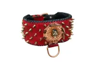 Red Leather Spiked Dog Collar