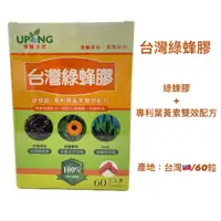 在飛比找蝦皮購物優惠-湧鵬生技 台灣綠蜂膠 60顆 金盞花 葉黃素 DHA