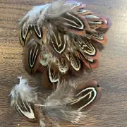 20pcs Natural 4-6cm Pheasant Genuine Feathers DIY Craft Jewellery Fly Tying