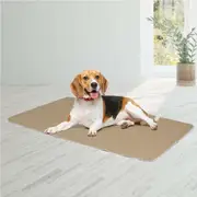 Pawz 2x Washable Dog Puppy Training Pad Pee Puppy Reusable Cushion L Cream
