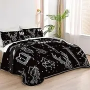 Allenjoy King Size Glass and Steel Quilt Bedspreads Crown of Shadows Bed Set Bedding Coverlet Fabric Washable with 2 Pillow Shams SC00026-007