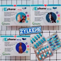 在飛比找蝦皮購物優惠-【現貨✅開發票】威隆 Zylkene 情緒穩定 10顆 犬貓