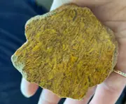 Natural Fossil Elephant Skin Jasper Freeform Crystal Gem Healing Reiki