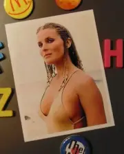 Bo Derek Fridge Magnet Gift 80's Movie Comedy 10 Blake Edwards Film Braids Beads