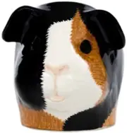 Quail Ceramics Face Egg Cup Guinea Pig Multi