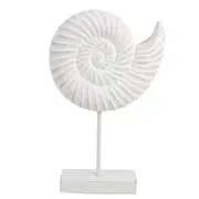 Maine & Crawford 7 Seas Wood 35cm Conch Shell On Stand - White