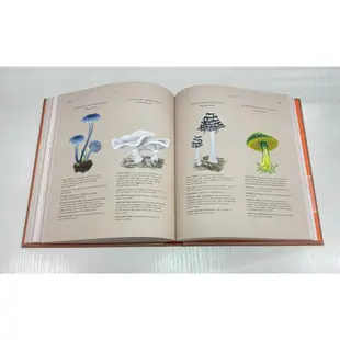 Fungi：Discover the Science and Secrets Behind the World of Mushrooms