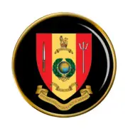 43 Commando Royal Marines Pin Badge