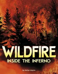在飛比找誠品線上優惠-Wildfire, Inside the Inferno