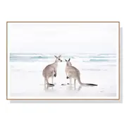 50Cmx70cm Kangaroo Wood Frame Canvas Wall Art