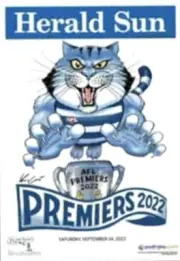 2022 AFL PREMIERS GEELONG CATS MARK KNIGHT PREMIERSHIP WEG HERALD SUN POSTER