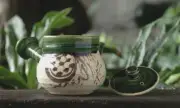 Seto Oribe window cleaning tool teapot Oribe ware From Japan