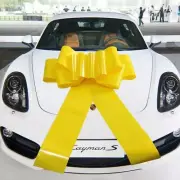 1Pcs Giant Car Bow,21 Inch Giant Gift Bow for Large Gift Decoration,Giant Presen