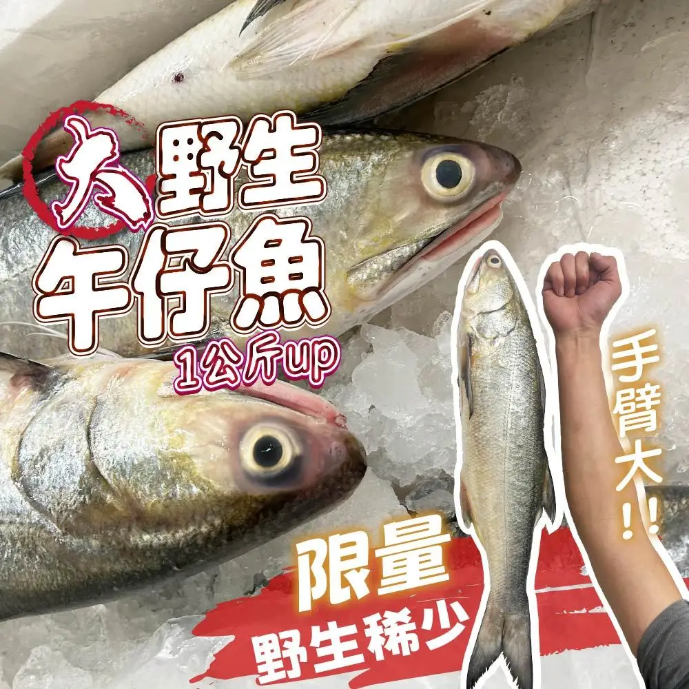 野生魚的優惠比較- 2026年01月|飛比價格