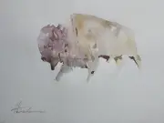 Bison, Animal, Watercolor artwork, Handmade, Original painting on paper