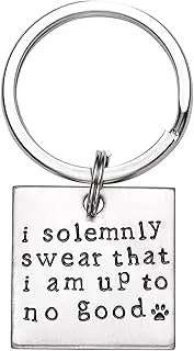 LParkin Men's I Solemnly Swear That I Am Up to No Good! - Unique Pet Id Tag - Custom Pet Tag - Big Keyring