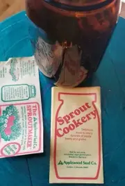 Amber Longlife Mason jar Sprout Cookery New Vintage Original Apllewood Seed Book