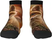 [EdWal] Cute Baby Fox print Men's Moisture Control Crew Socks Socks For Men and Women Gifts For Golf, Hunting, Camping