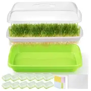 12 Pack Green Sprouter Trays with Lid, Soil-Free Cultivation Germination Tray...