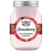 Mr Fothergill's Self Watering Mason Jars Grow Kits- Strawberry