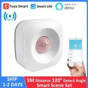 Motion Sensor Detector Movement Alarm Smart Life Wireless Home Automation System