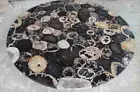 Black Petrified Agate Coffee Table Top, Center Round Table Top, Living Room Deco