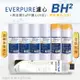 【Everpure】美國原廠平行輸入 BH2 濾心+高品質前置5uPP濾心+樹脂濾心(7支組)