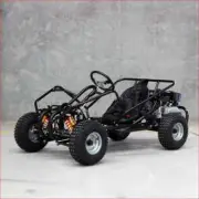 2025 NEW - Go kart 270cc 9HP Full sized Buggy Modular Upgraded Dune Adults Kids