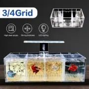 3 Grid 4 Grid Acrylic Betta Fish Tank LED Light Mini Desktop Aquarium Water Pump