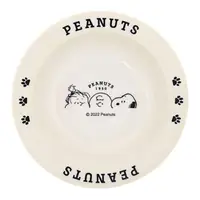 在飛比找momo購物網優惠-【Kamio】SNOOPY 史努比 陶瓷餐盤 陶瓷盤子 21
