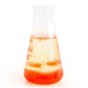 DIY Lava In A Bottle Lava Lamp Science Time Experiment Kit