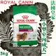 【犬糧】ROYAL CANIN 法國 皇家 [小型室內成犬] MNINA 犬飼料 3kg