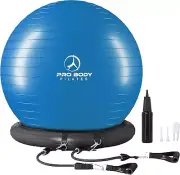 Balance & Stability Ball Chair - 75cm Inflatable Exercise Ball with Stand