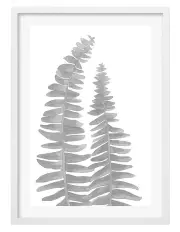 [Profile Australia] Australian Made Watercolour Fern Leaves Black Art Print A2 in White Frame