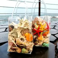 在飛比找樂天市場購物網優惠-天然海螺貝殼仿真海星珊瑚魚缸造景水族箱裝飾品沙灘玩具兒童禮物